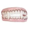 Spirit Halloween Vampire Teeth