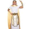 Spirit Halloween Adult Zeus Costume