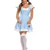 Spirit Halloween Adult Kansas Cutie Costume