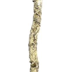 Spirit Halloween Witch Doctor Crow Staff -Cheap Trick Or Treat Hub Store 01440312 c