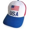 Spirit Halloween Team USA Dad Hat