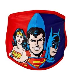 Spirit Halloween DC Heroes Face Mask