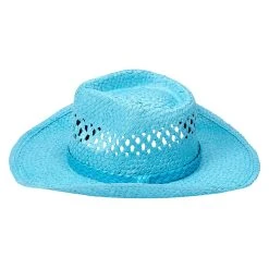 Spirit Halloween Blue Straw Cowboy Hat -Cheap Trick Or Treat Hub Store 01573013 g