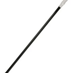 Spirit Halloween Regal Cane