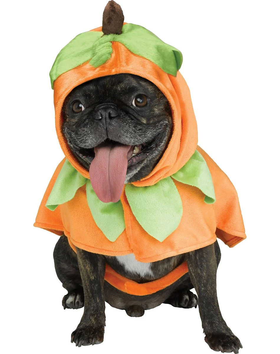 Spirit Halloween Pumpkin Pet Costume 1 Spirit Halloween Pumpkin Pet Costume