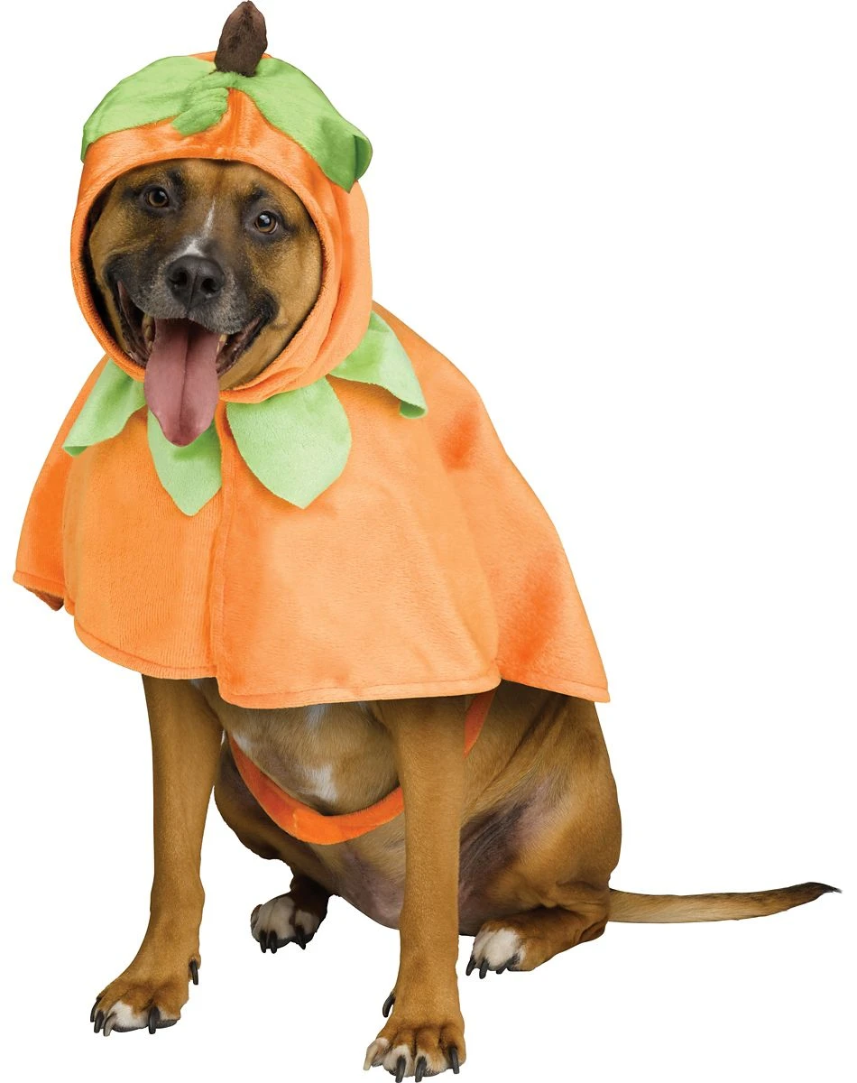 Spirit Halloween Pumpkin Pet Costume 2 Spirit Halloween Pumpkin Pet Costume - Image 2