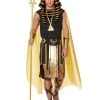 Spirit Halloween Adult King of Egypt Costume